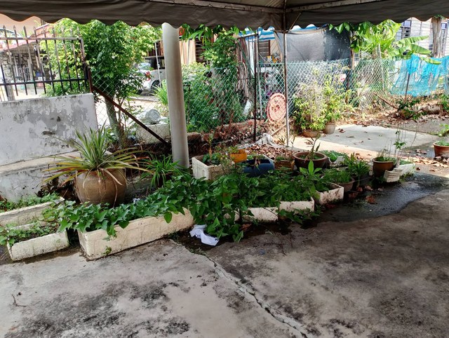 Ruang tanaman dan halaman di bawah khemah sebelum kenduri.